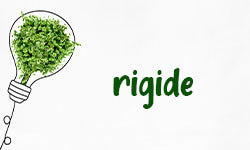 Rigide-01