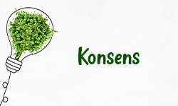 Konsens-001